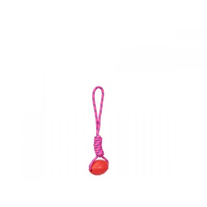 mascow-paixnidi-gia-katoikidio-mpala-silikonis-me-sxoini-35-ek-3-apoxroseis